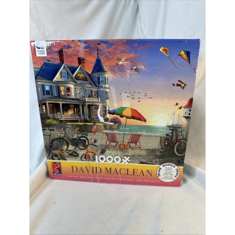 CEACO PUZZLE 1000 pc ~ David Maclean ~ VICTORIAN BEACH HOUSE